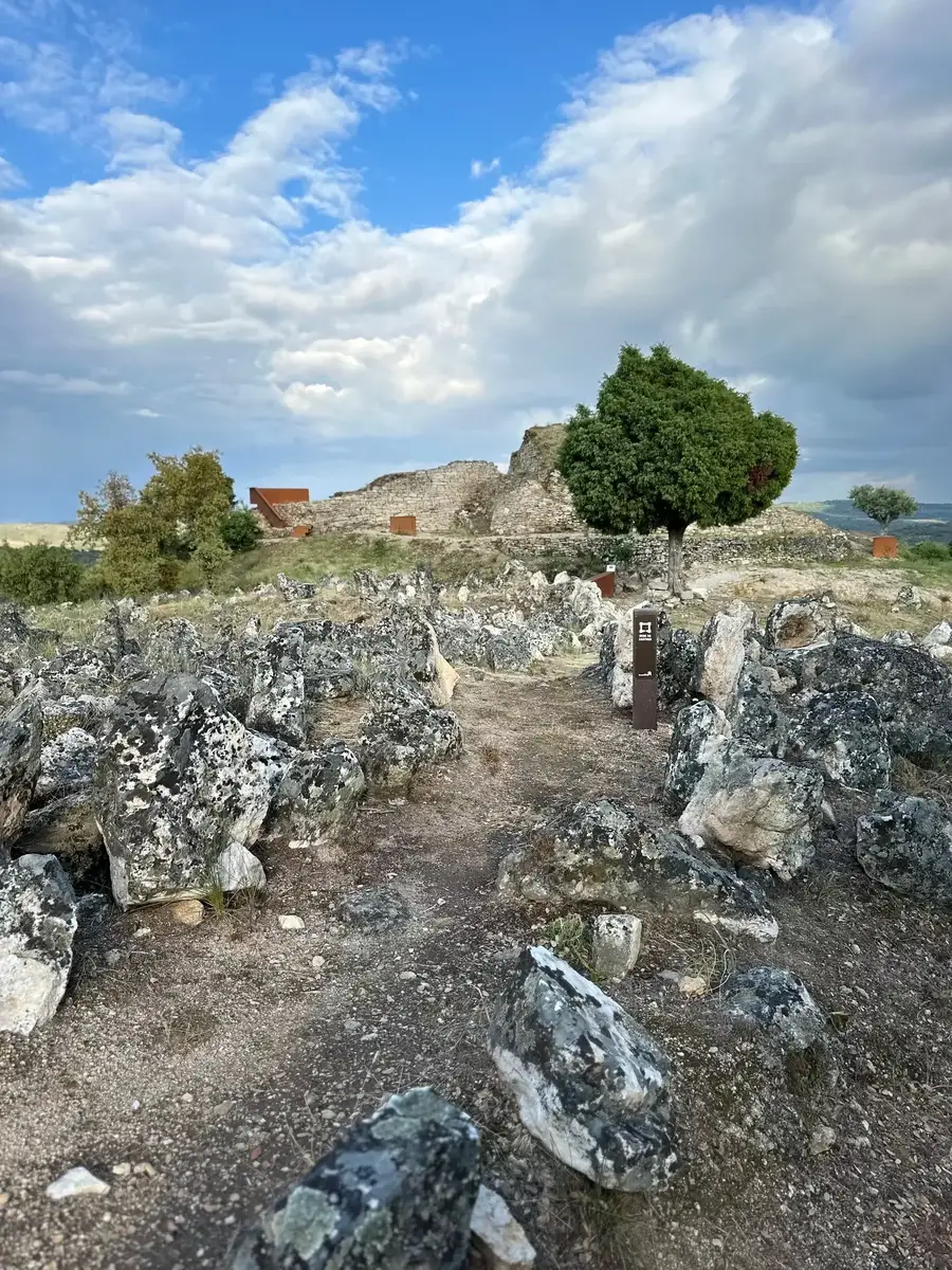 Castelo e Muralhas Medievais